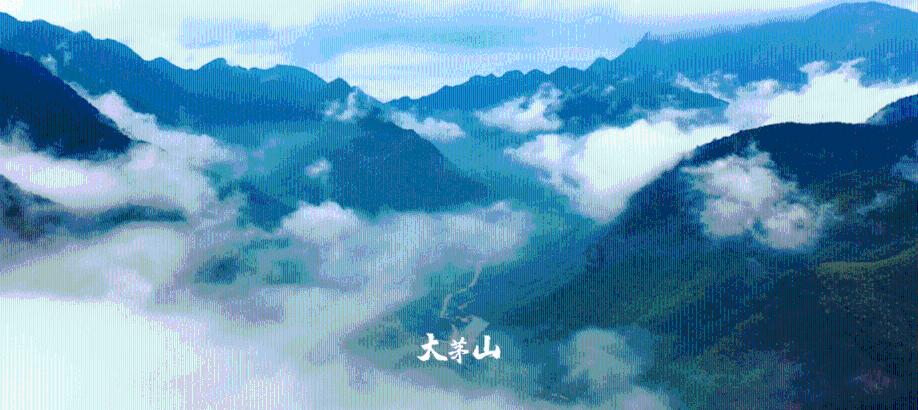 探索冷知识的851÷4怎么验算?平台,解密奇闻异事